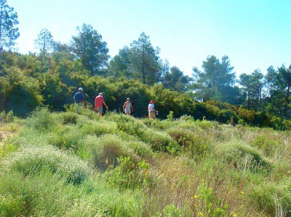 Hillside walking
