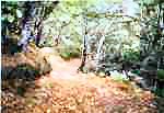 In the Montagnes Noire