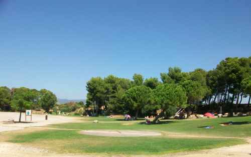 a grassed area